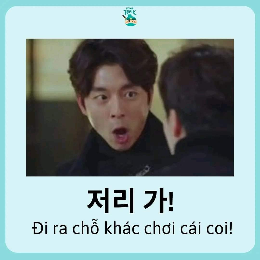 ở hạ long